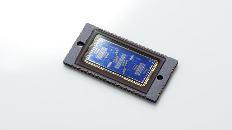 EOS 1DX_MKII AF SENSOR WHT BEAUTY FSL