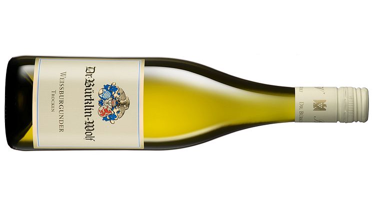 Ekologisk Weissburgunder från prestigeproducent i Pfalz som lanseras i Systembolagets fasta sortiment.