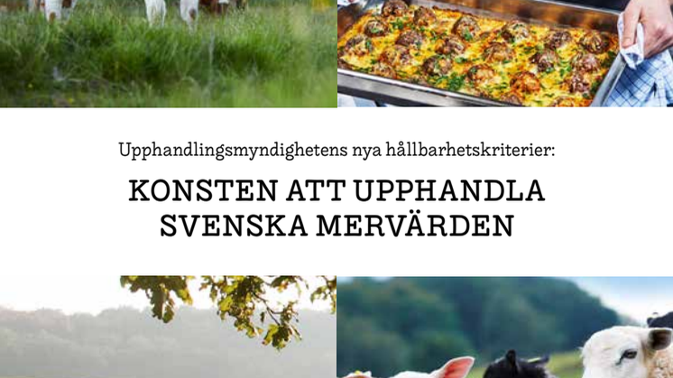 Konsten att upphandla svenska mervärden. Från Sverige 2021 08
