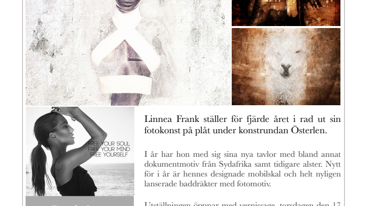 Linnea Frank ställer ut för sista gången på Konstrundan