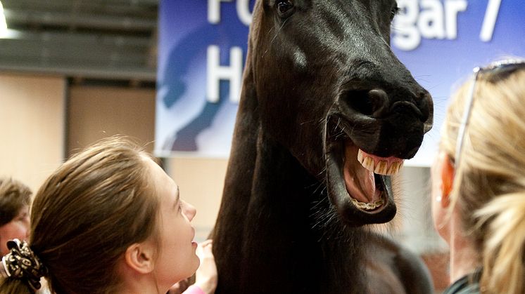 EuroHorse 2013