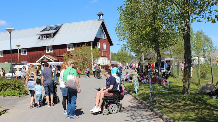 Grönt veckoslut, Kalmar läns största landsbygdsevenemang 7-18 maj i Gamleby