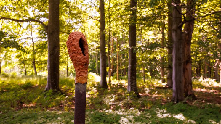 Dolmen_Pettersen-3