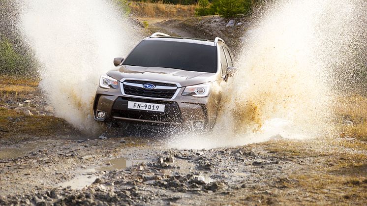 Subaru Forester XT Sportin autoverollinen kokonaishinta ilman toimituskuluja on 47 858,62 euroa.