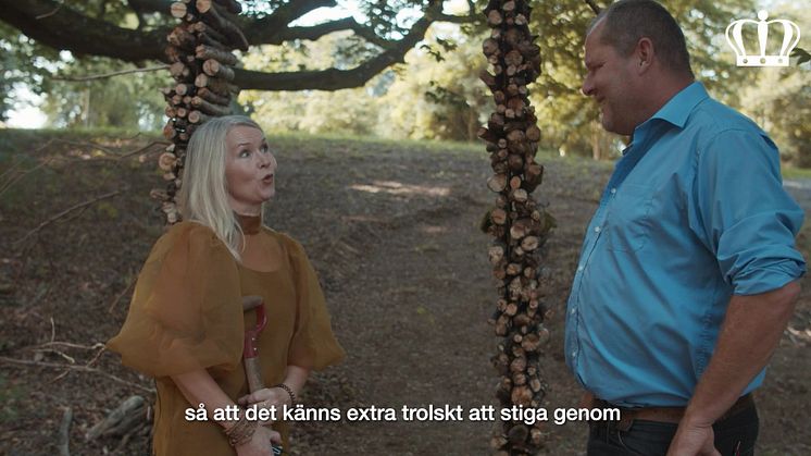 Fyra nyanser av sensommar – Minna Mercke Schmidt