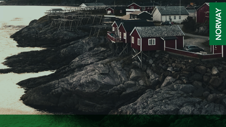 Offisiell rapport - Sustainable Brand Index 2020 Norge
