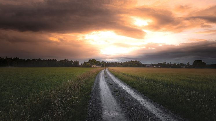 2019-11-15 Landskapsforum 2019: Landskap – ett vidsträckt begrepp (foto: Henrik Berg/Unsplash)