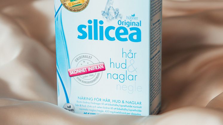 SILICEA_HC_EXTRA-06