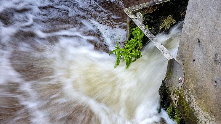På grund av stora regnmängder i samband med stormen Hans har Gryaab fått pumpa ovanligt stora mängder vatten under flera dygn. Men nu börjar vattenmängderna minska igen.