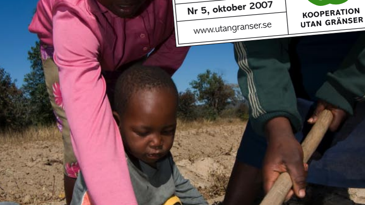 Rapport: Var lojal - eller svält! Vittnesmål inifrån svältens Zimbabwe. 