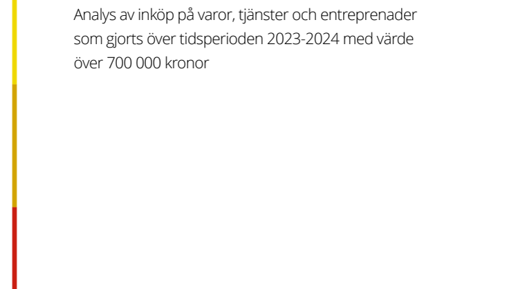 Extra Internkontroll.pdf