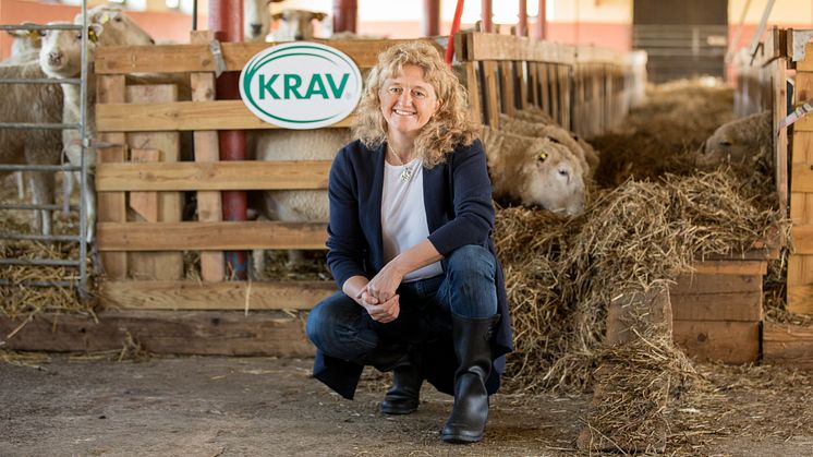 Foto: Kolbjörn Örjavik