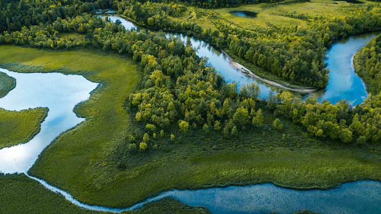 SAF_environment.jpg