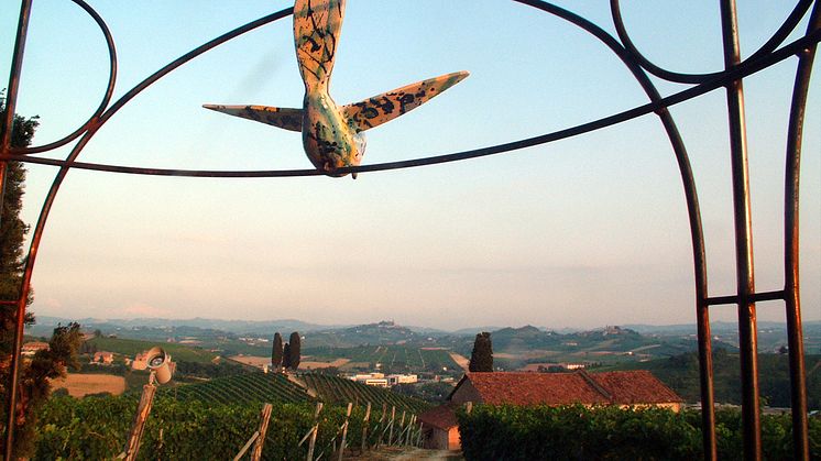 Tillfällig Lansering: Michele Chiarlo Cannubi Barolo 2018 och Michele Chiarlo Asili Barbaresco 2019