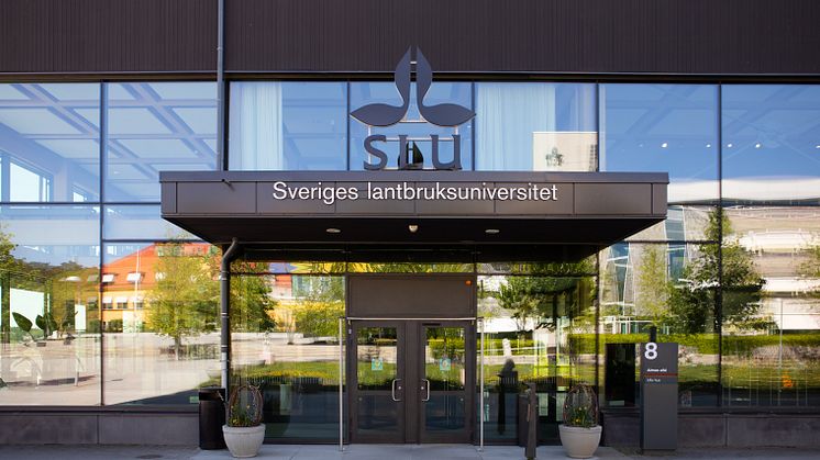 SLU_240522_7251_jsg.jpg