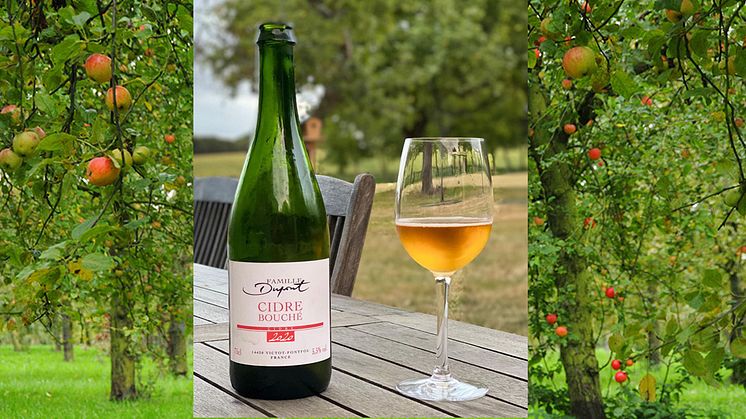 Systembolaget utökar fasta sortimentet med fin fransk cidertradition