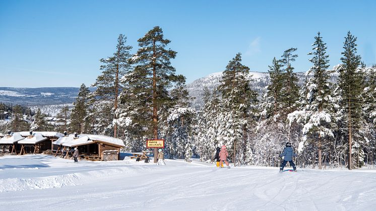 Stöten i Sälen - Vargys grillplats 2425