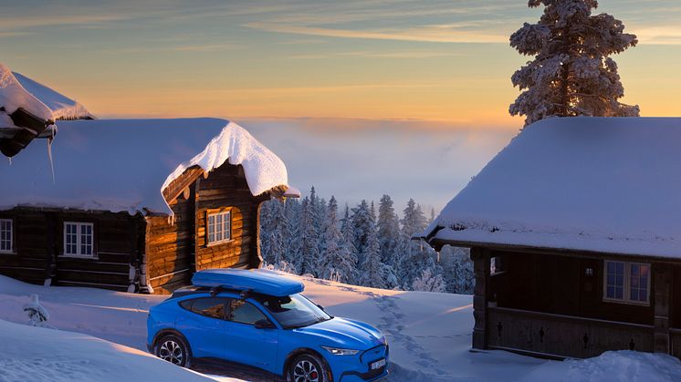 Ford Mustang Mach-E Vinter 2022