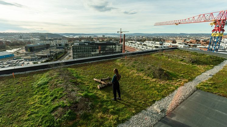 Ambisiøse utviklere bidrar til å utvikle byens økologi. Her fra taket på kontorbygget K5 på Hasle Linje. Foto: Max Emanuelson/AF Gruppen.