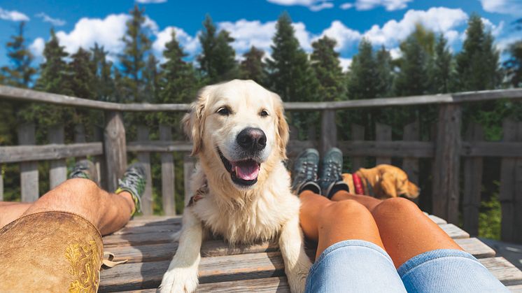 Bild 1_Fressnapf_Wanderpause mit Hund Pärchen_300dpi_cmyk.jpg