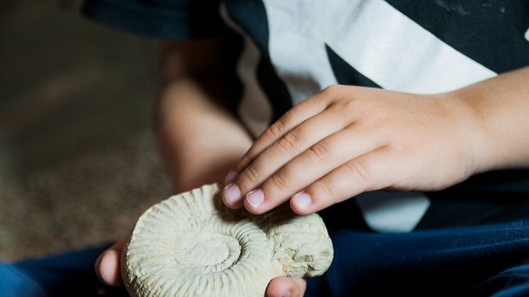Se museets skatter på Geologins dag