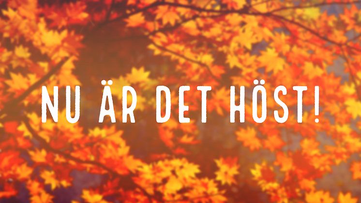 Höstmiddag med Periquita!