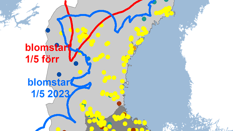 tussilago2023
