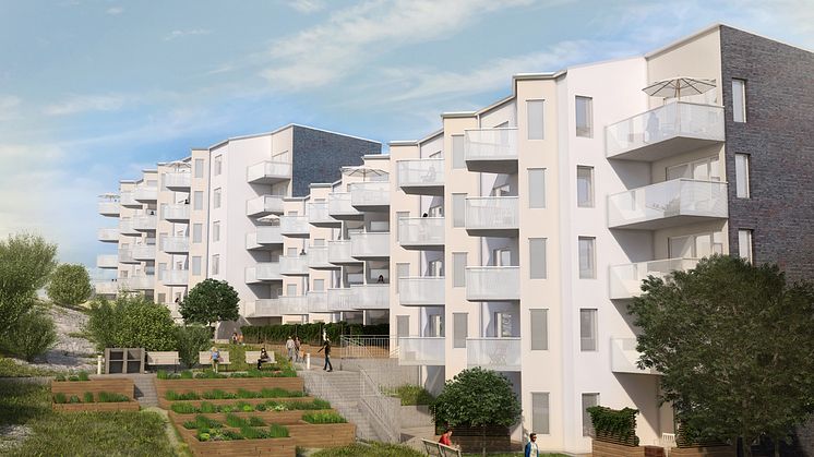 HSB brf Famnen baksida skissbild husen Flatås 