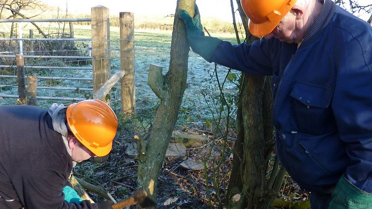 Annual meeting for Friends of Chesham Local Nature Reserve