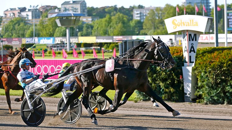 Don Fanucci Zet och Örjan Kihlström vinner Elitloppet 2021. Foto: Maria Holmén/ATG.