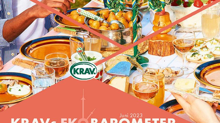 Fler vill äta potatis – kan ge fler humlor 