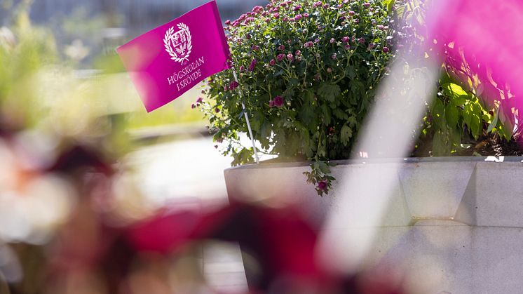 Flagga på campus