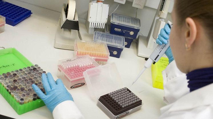 Brain damage caused by stroke could be repaired by stem cells - Stroke Association response