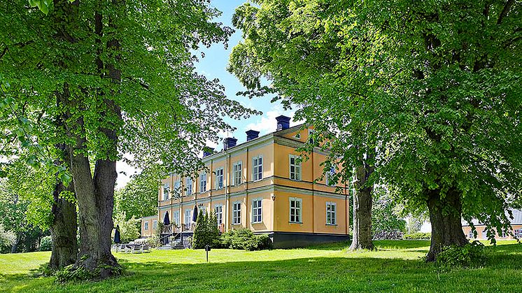 Baksida Låg