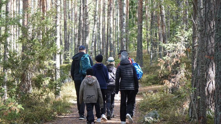 Trollegater naturreservat
