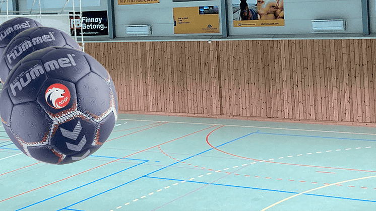 ballerifart (1).png