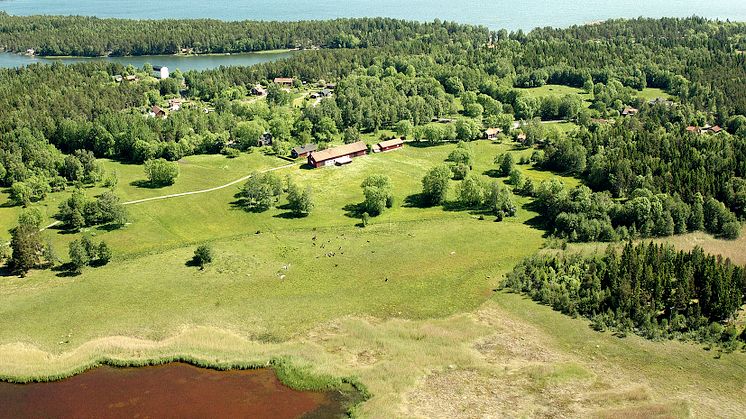Flygfoto Uppland, naturtyper.