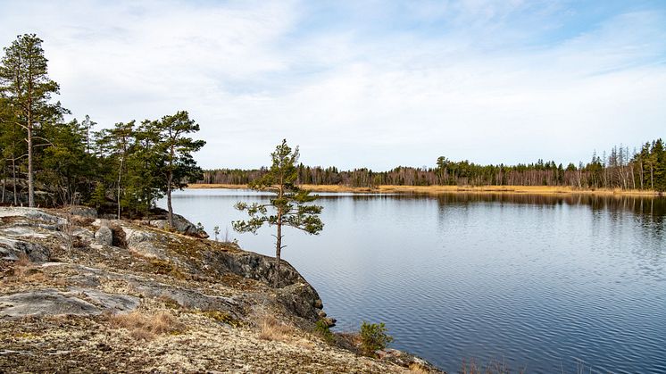 _DSC3087.jpg