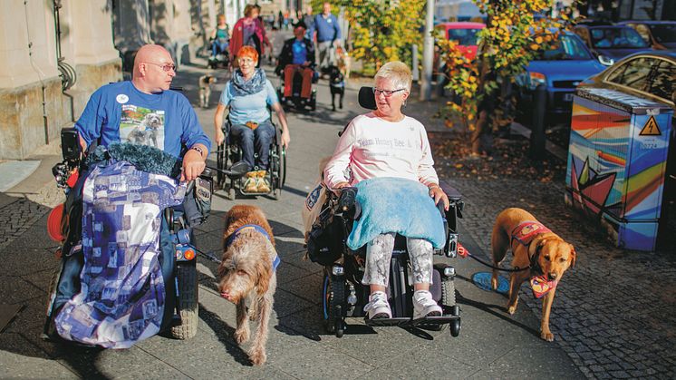 Symbolbild_Blindenführhund