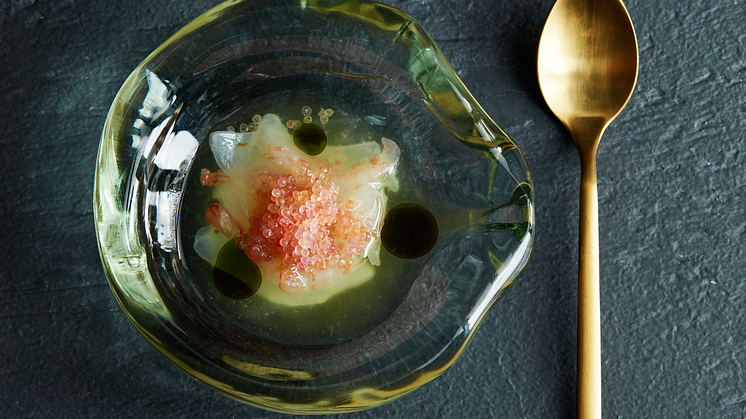 Seafood-Gastro-8