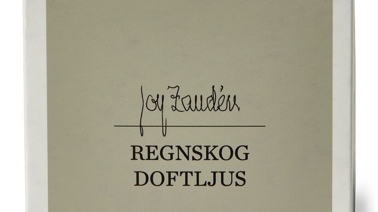 Regnskog