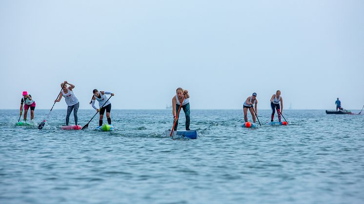 SUP- und Wingfoil-Festival am Südstrand auf Fehmarn©bsp-media_SUP Festival