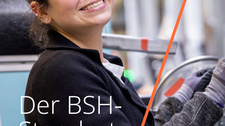 BSH Standortbroschüre Dillingen