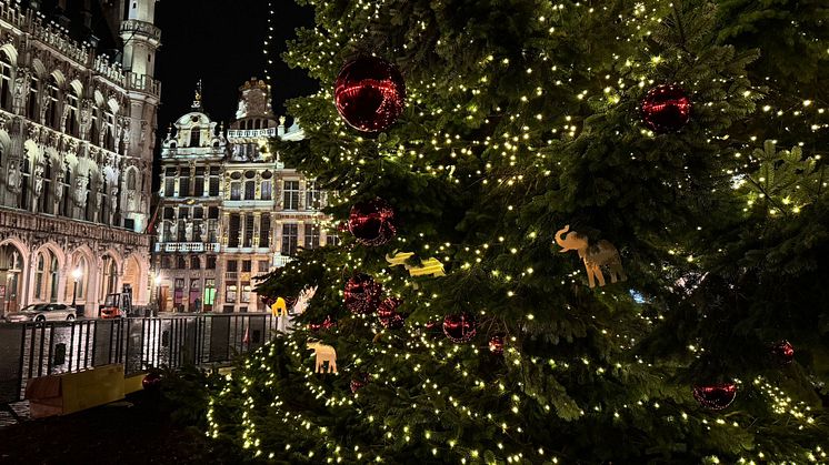 Une vente aux enchères de 180 ornements uniques en forme d’éléphant Côte d’Or qui décoreront le sapin de Noël de la Grand-Place