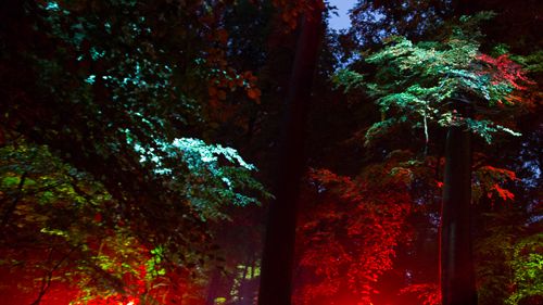 Oslo kulturnatt 2015 - Lucid Dream, Nils Petter Molvær i Ekebergparken