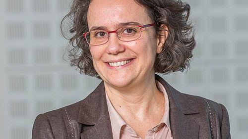 Cristina Guerreiro, NILU