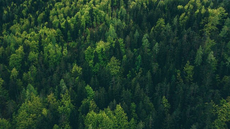 2022 Voyado Sustainability Report