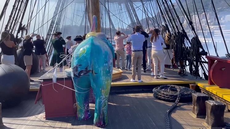 Kanonsalut för Svensk elefant i monaco