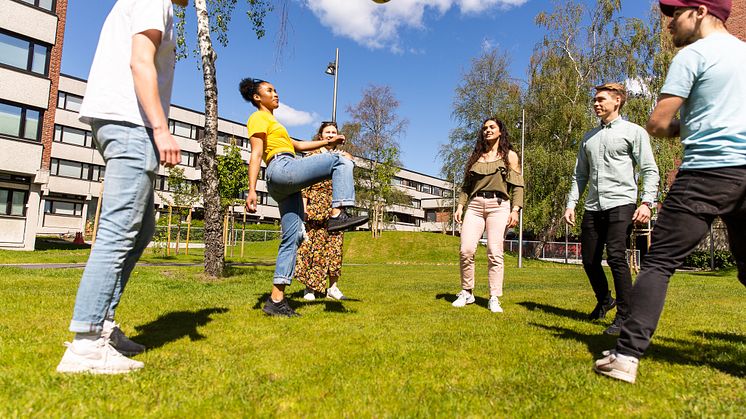 Kringsjå uteområder