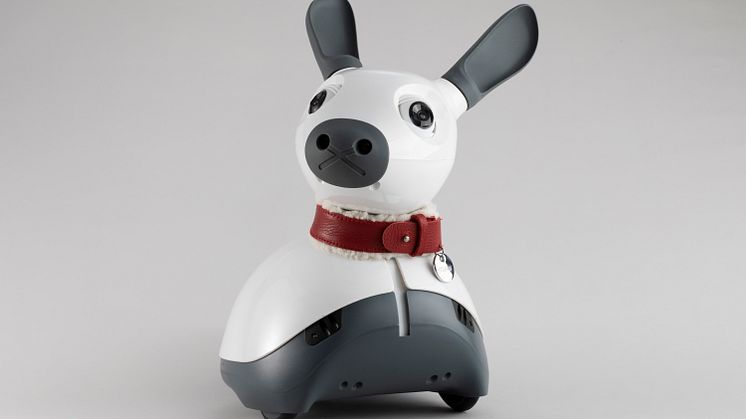 Robothund grå bakgrunn.jpg
